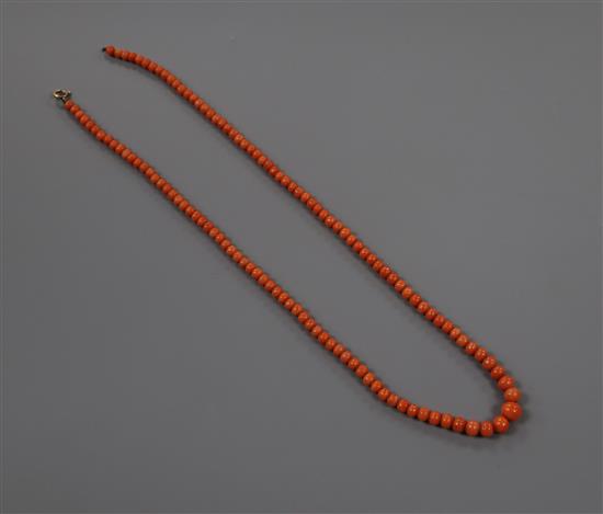 A single strand graduated coral bead necklace, clasp a.f., 49cm, gross weight 16 grams.